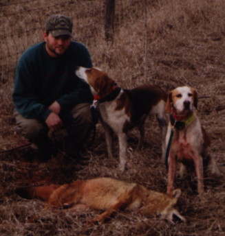 Vargys coyote hounds for hot sale sale